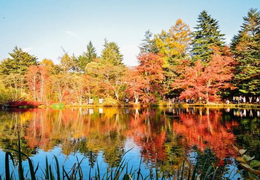 長野自由行攻略