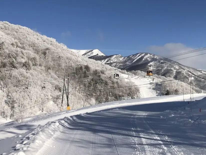 岩岳滑雪場雪票終極指南：價格、購買、使用技巧全解析