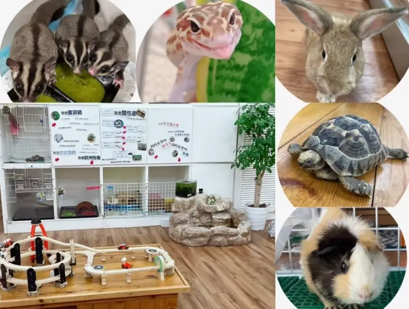 台北室內親子景點