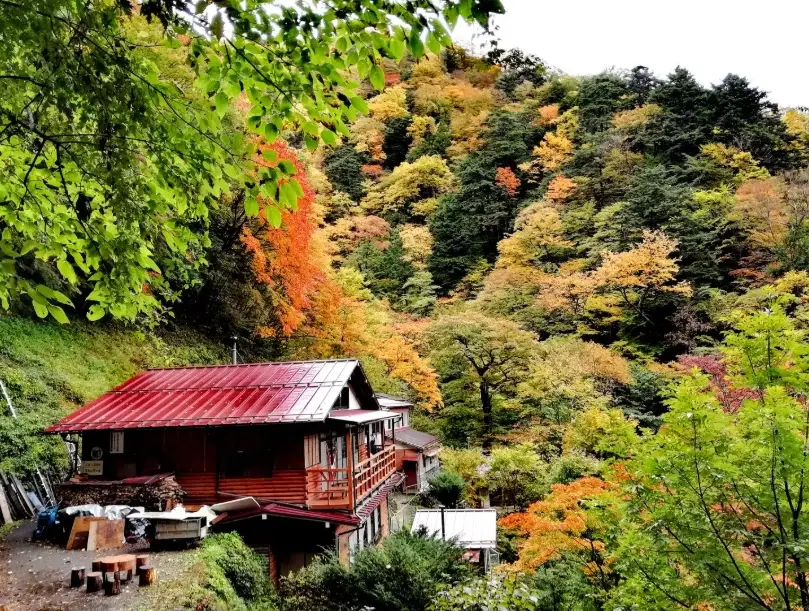 上高地必吃美食全攻略：山菜、河魚與秘境餐廳推薦