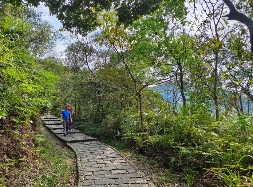 大崙頭尾山交通