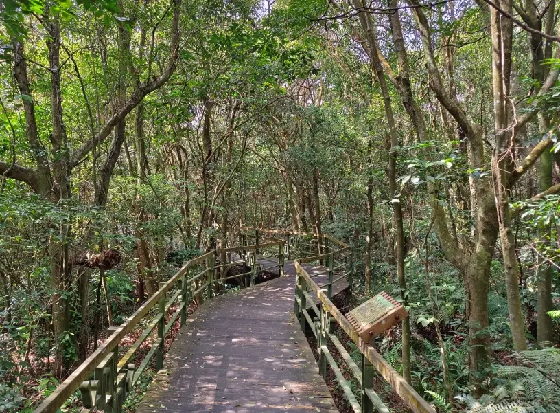 大崙頭尾山停車