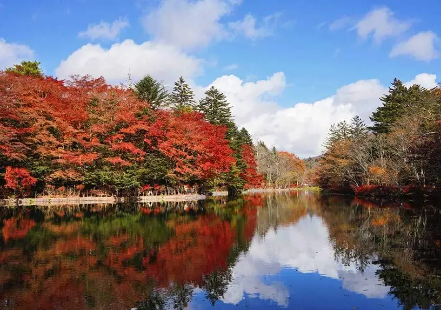 長野觀光終極指南：從必訪景點到隱藏美食的深度攻略
