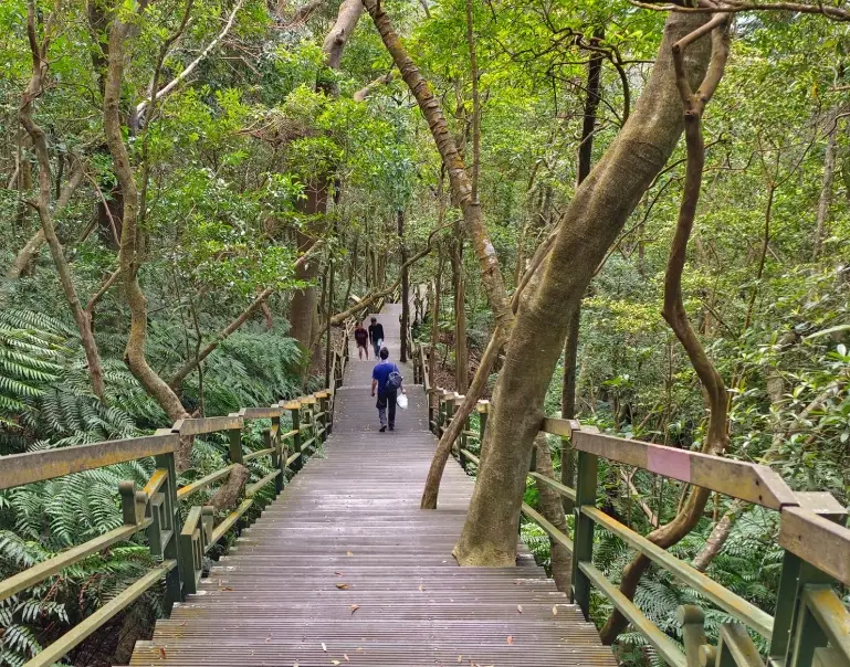 劍南路站 大崙頭尾山