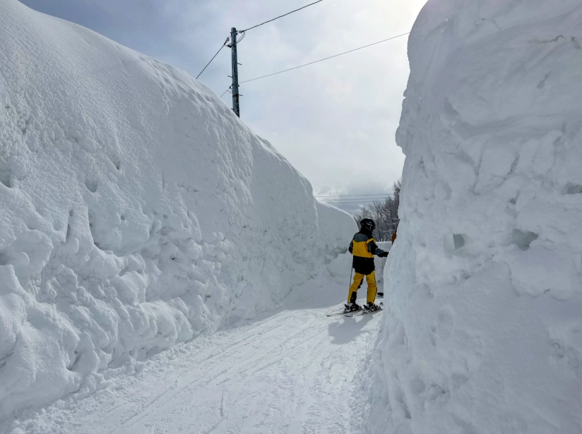 白馬雪季終極指南：滑雪攻略、景點推薦與行程規劃