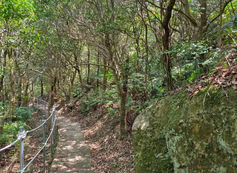 大崙頭尾山停車