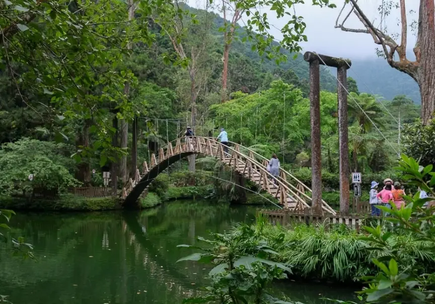 高雄到溪頭一日遊終極攻略：森林浴行程、交通方式與必訪景點