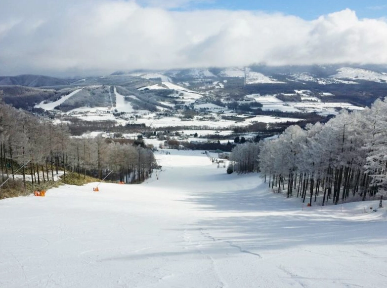 長野縣 滑雪