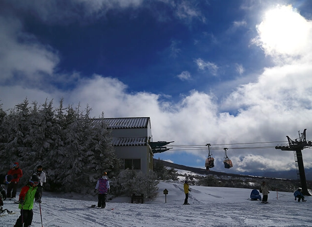 志賀高原 滑雪