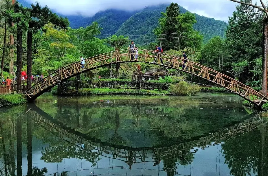 台南出發溪頭旅遊