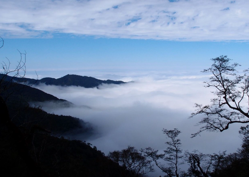 觀霧怎麼玩？國家森林遊樂區一日遊攻略與必訪景點推薦