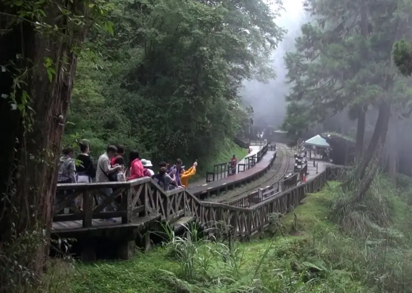 台南出發溪頭旅遊