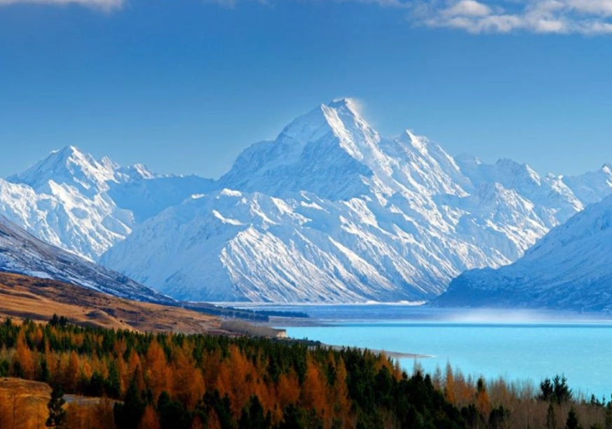 紐西蘭10月旅遊終極指南：春季賞花、觀鯨與自駕全攻略