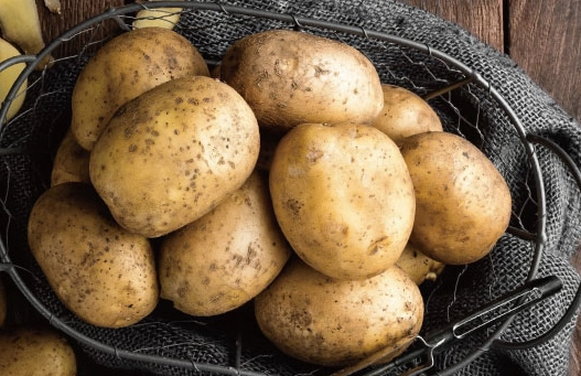 馬鈴薯挑選保存