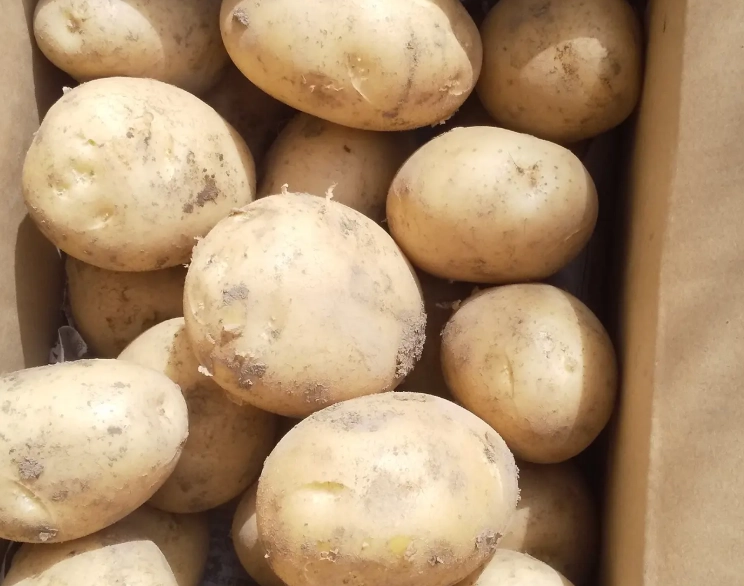 快速馬鈴薯食譜