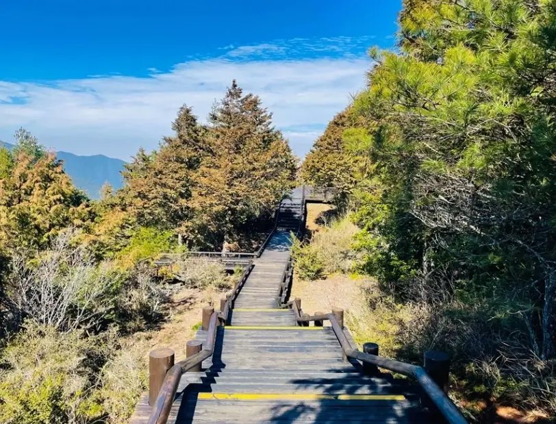 觀霧國家森林遊樂區