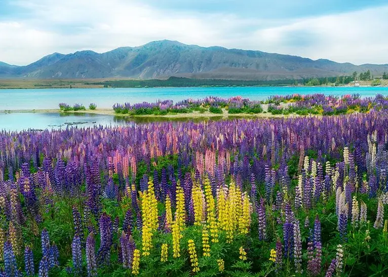 皇后鎮滑雪季節