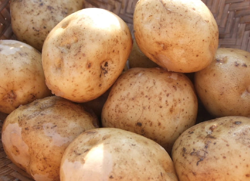 馬鈴薯健康吃法