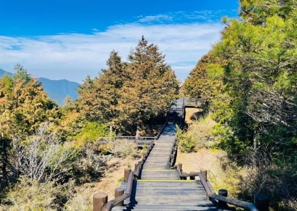 觀霧咖啡廳：雲海山景間的秘境咖啡館，交通資訊與必點餐點全攻略