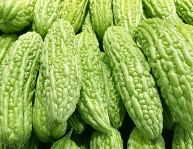 苦瓜壞掉怎麼判斷