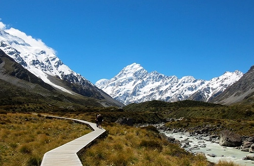 紐西蘭自駕攻略