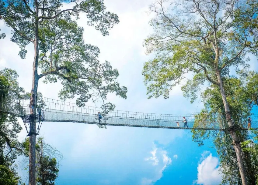 台南到溪頭交通