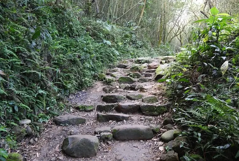 關子嶺大凍山步道全攻略：一日遊路線、交通、新手挑戰心得