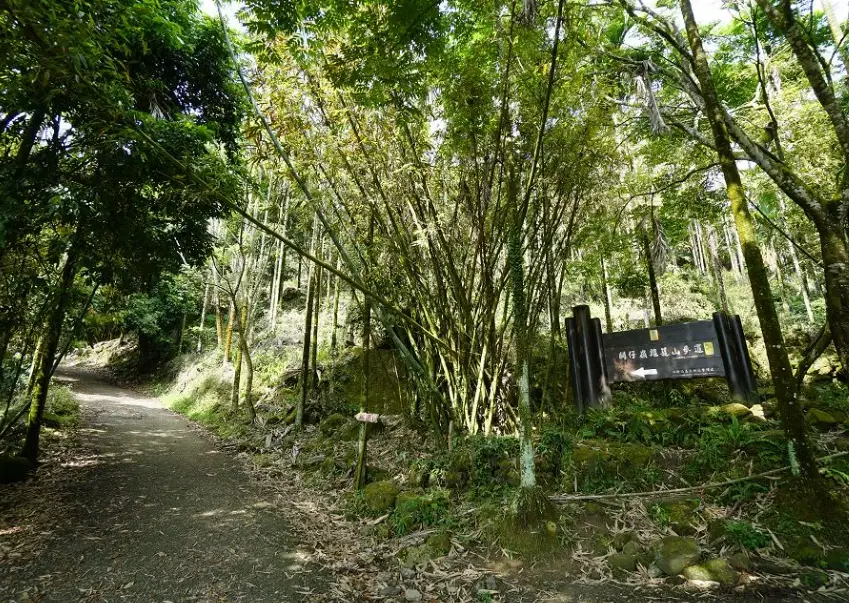 關子嶺大凍山交通