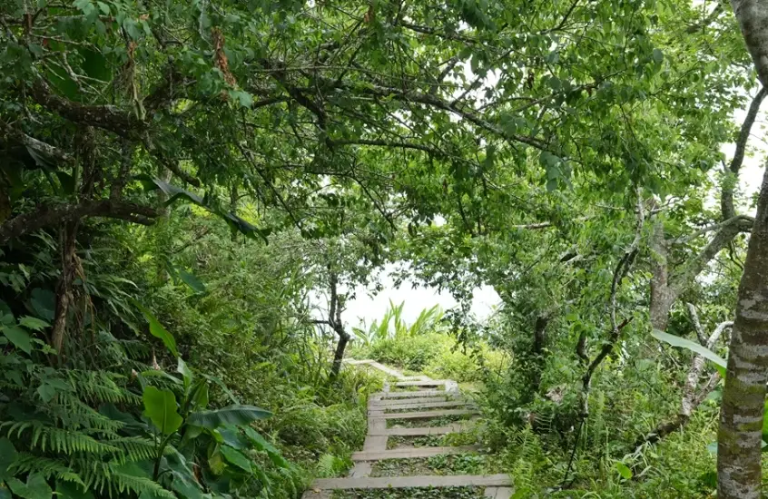 雞籠山登山步道