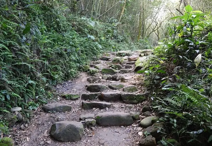 大凍山登山路線