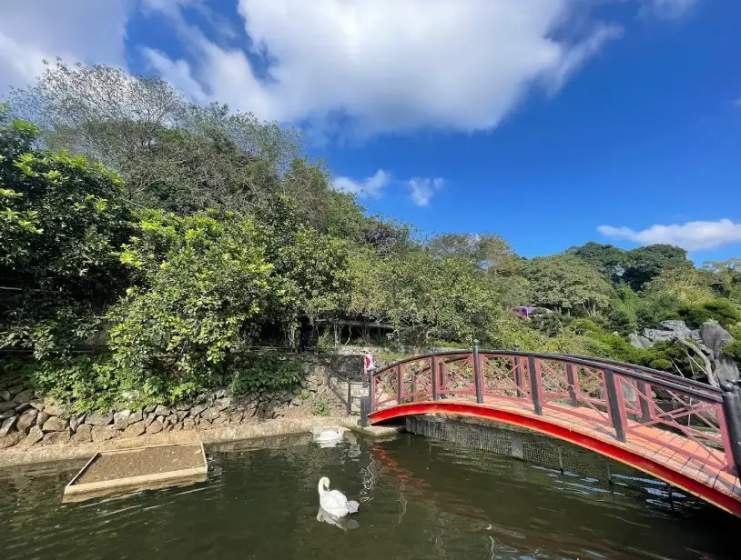 桃園以北一日遊：北台灣精華路線全攻略，從老街到海港一日玩透透