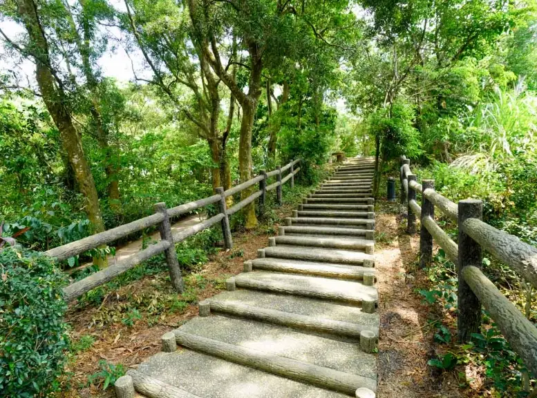 雲林登山步道全攻略：從新手到挑戰者的山海秘境指南