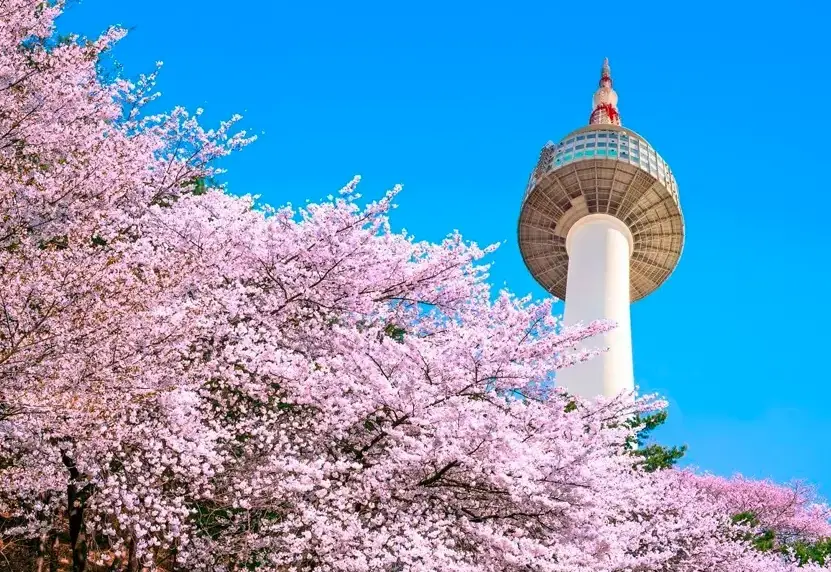 首爾韓劇景點全攻略：跟著經典場景規劃你的朝聖之旅