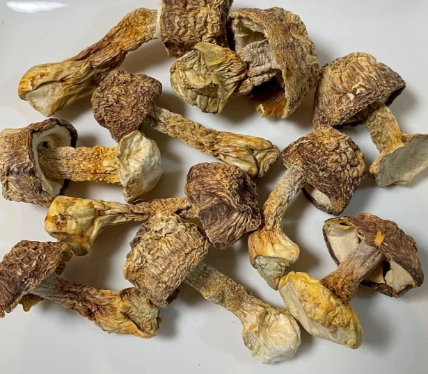 乾松茸食用方法