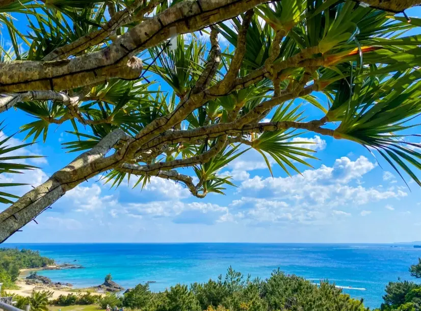 沖繩一個人自由行攻略：獨旅者的行程規劃與私房景點