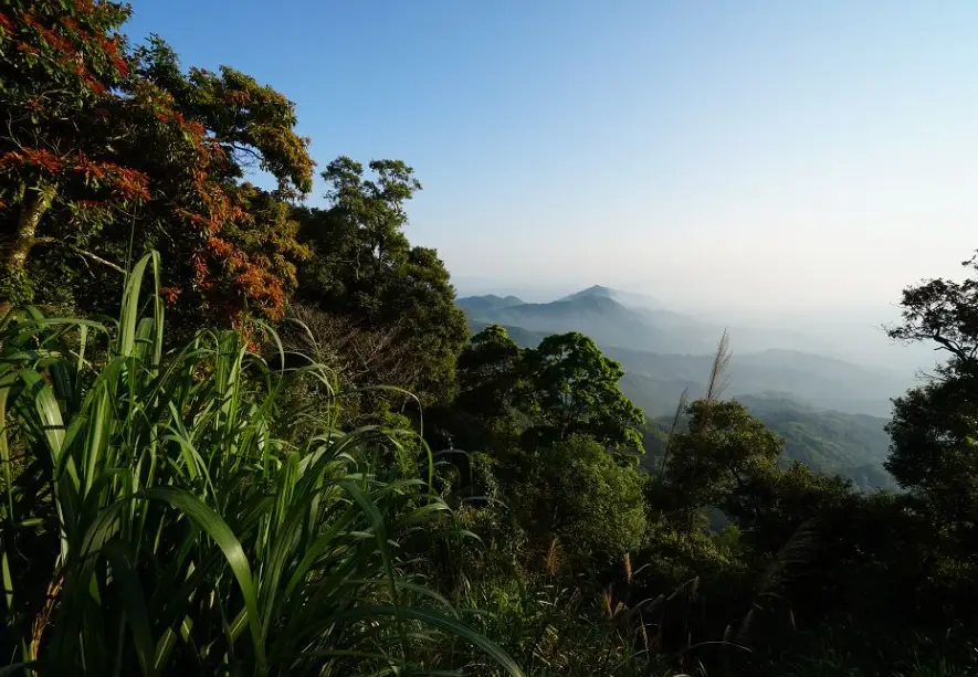 大凍山登山路線
