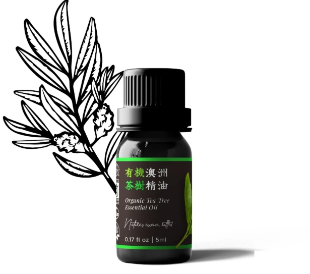 傷口 護理 自然療法