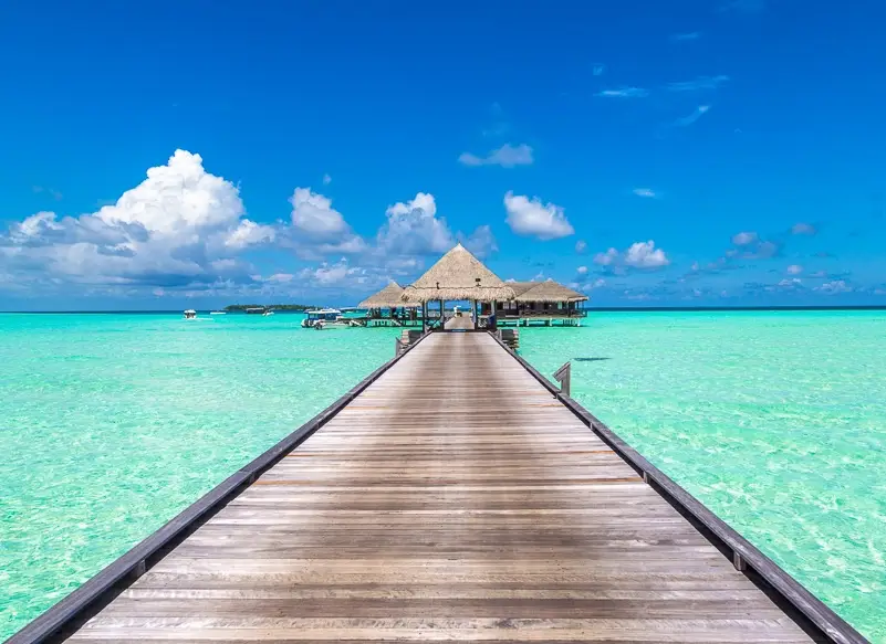 馬爾地夫蜜月
