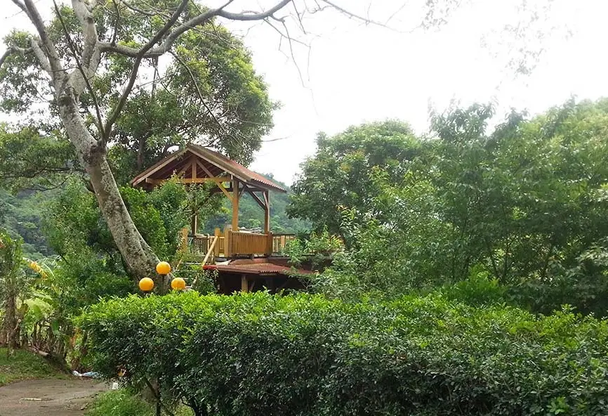 三義民宿石濤園住宿心得：隱身山林間的藝術園林，療癒之旅全攻略