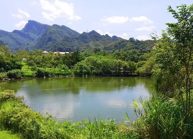 苗栗國家公園在哪？探索苗栗絕美山林景點與私房路線