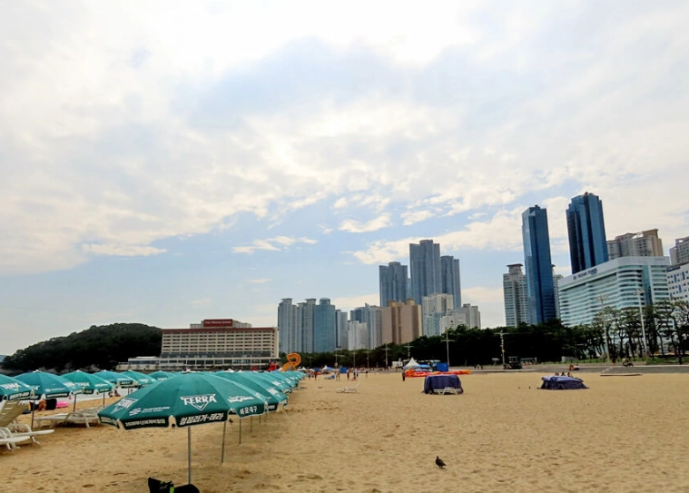 海雲台玩水全攻略：交通、景點、美食、住宿一次搞定