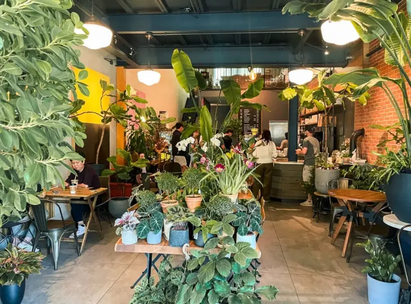 韓國自由行素食全攻略：餐廳推薦、行程規劃與實用技巧