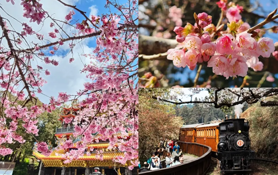 台灣旅遊季節全攻略：避開人潮與壞天氣的最佳旅行時間