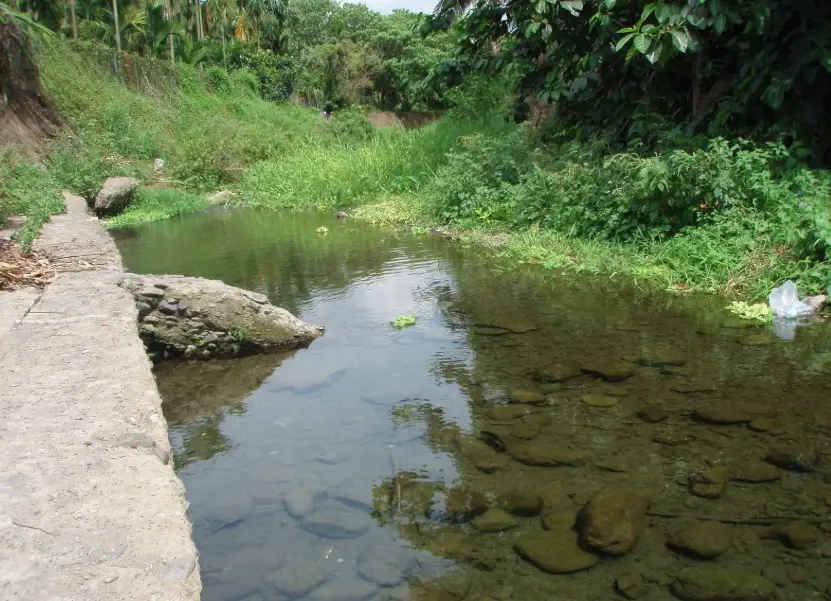 五溝水濕地生態