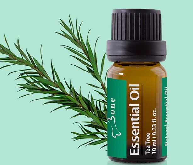 茶樹精油 傷口