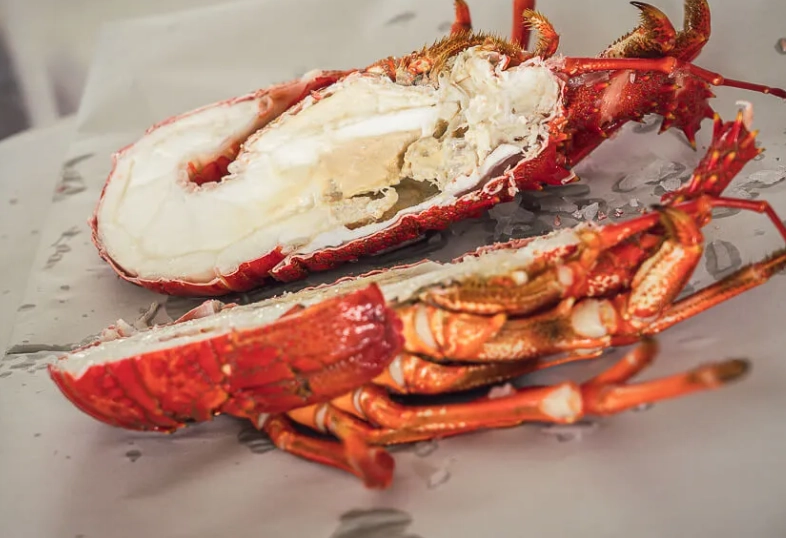 紐西蘭龍蝦 價格