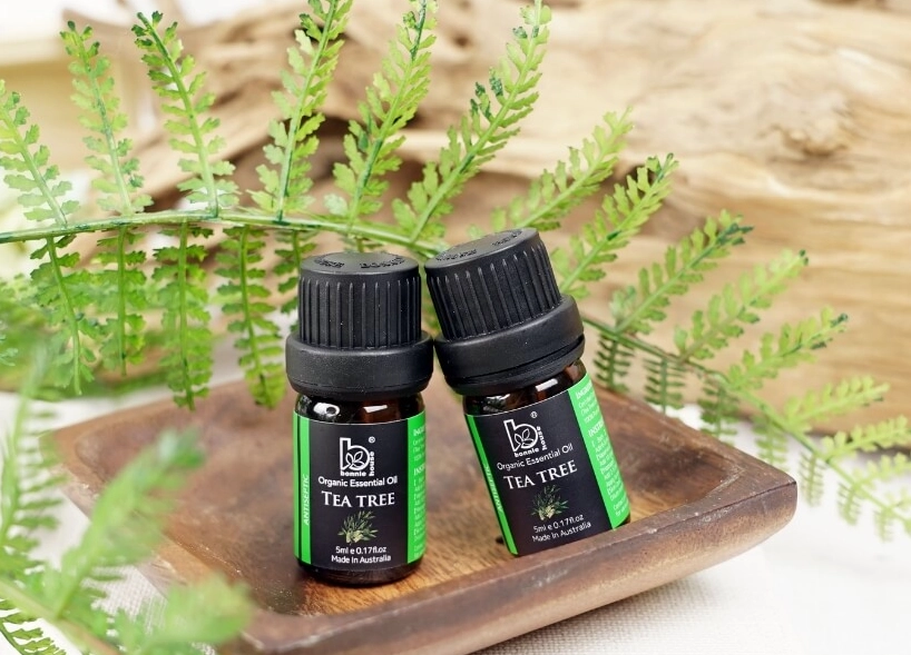 茶樹精油傷口處理終極指南：正確步驟、常見錯誤與專家建議