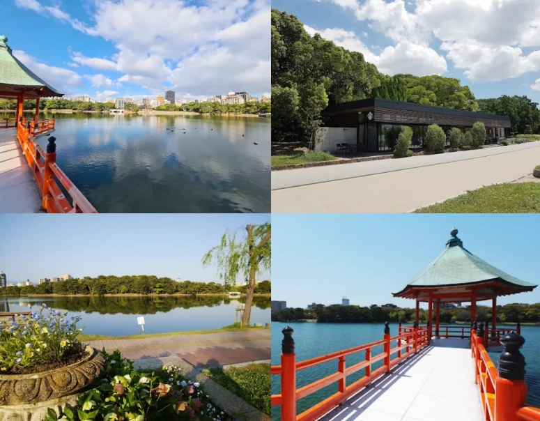 福岡10月紅葉去哪裡看？2024年10月賞楓景點全攻略