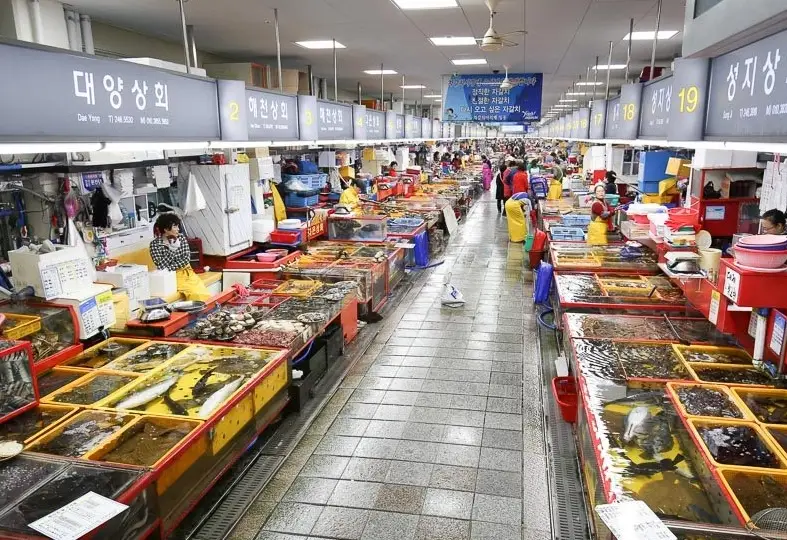 首爾釜山6日5夜行程