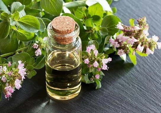 香港腳 天然療法